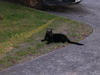 DSCN0867.JPG