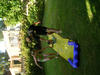 DSCN0879.JPG