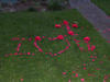 DSCN0504.JPG