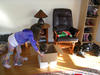 DSCN0509.JPG