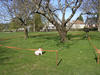 DSCN0514.JPG