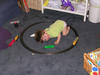 DSCN0557.JPG