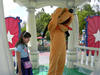 DSCN0636.JPG