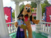 DSCN0637.JPG