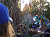 DSCN0686.JPG
