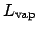$L_{\mathrm{vap}}$